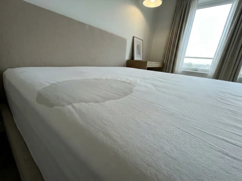 A defined damp patch high on a fitted sheet, raked by lamp light so the weave and the moisture both read