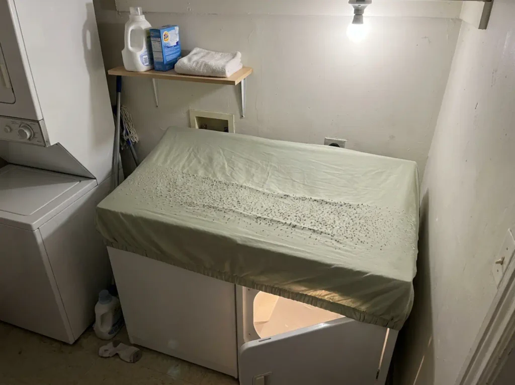 A much-washed sheet spread flat on a dryer, a band of pilling raked into view across its middle