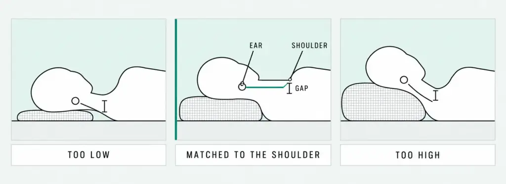 Line drawing of a side sleeper's neck on three pillow heights, showing the matched height keeps the neck straight